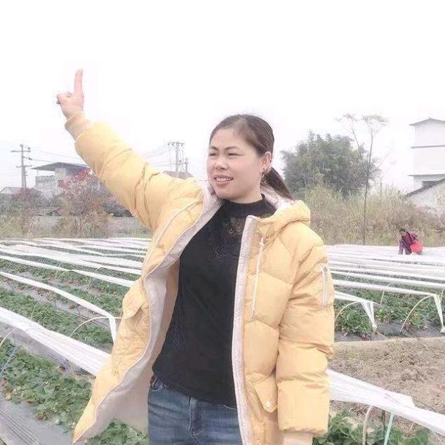 开心过每一天