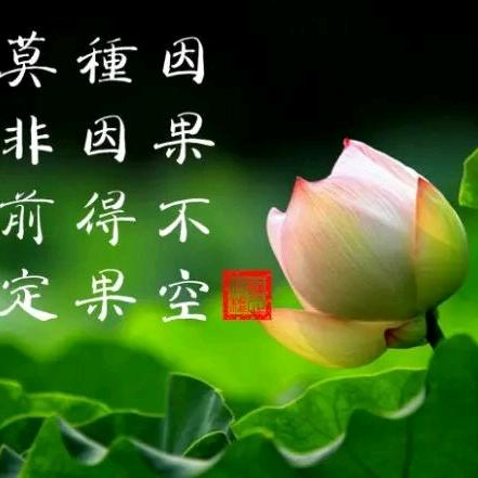 学习国学传播传统文化