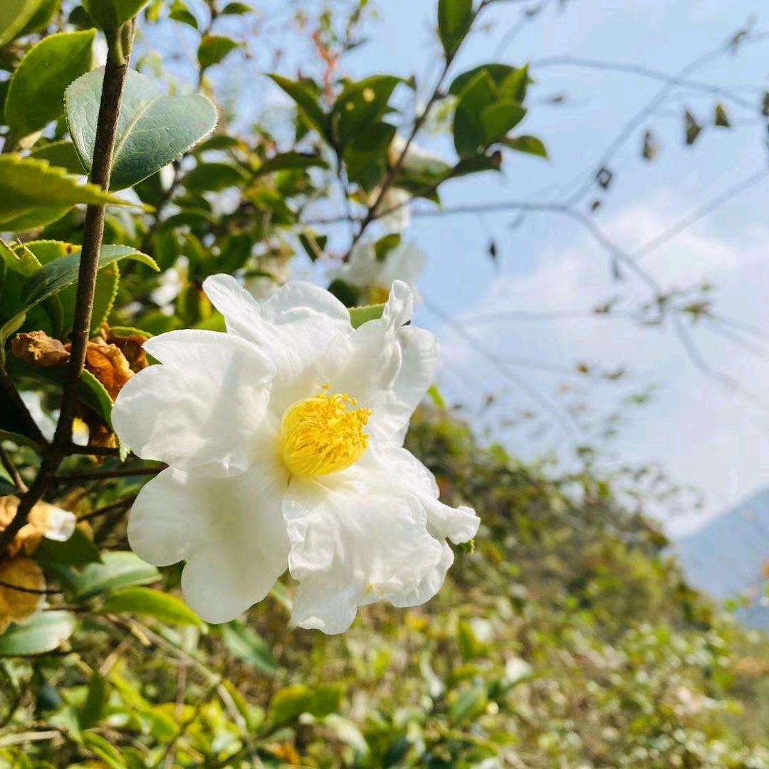 ☀坚强哥☀头像