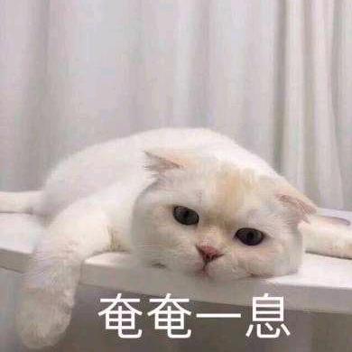挑战79吃一月