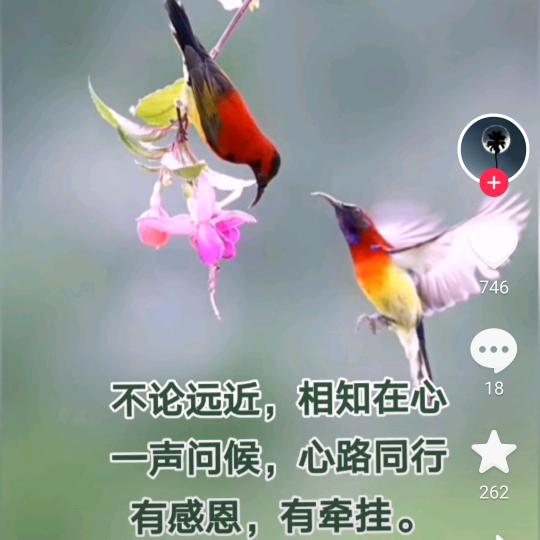 夕阳