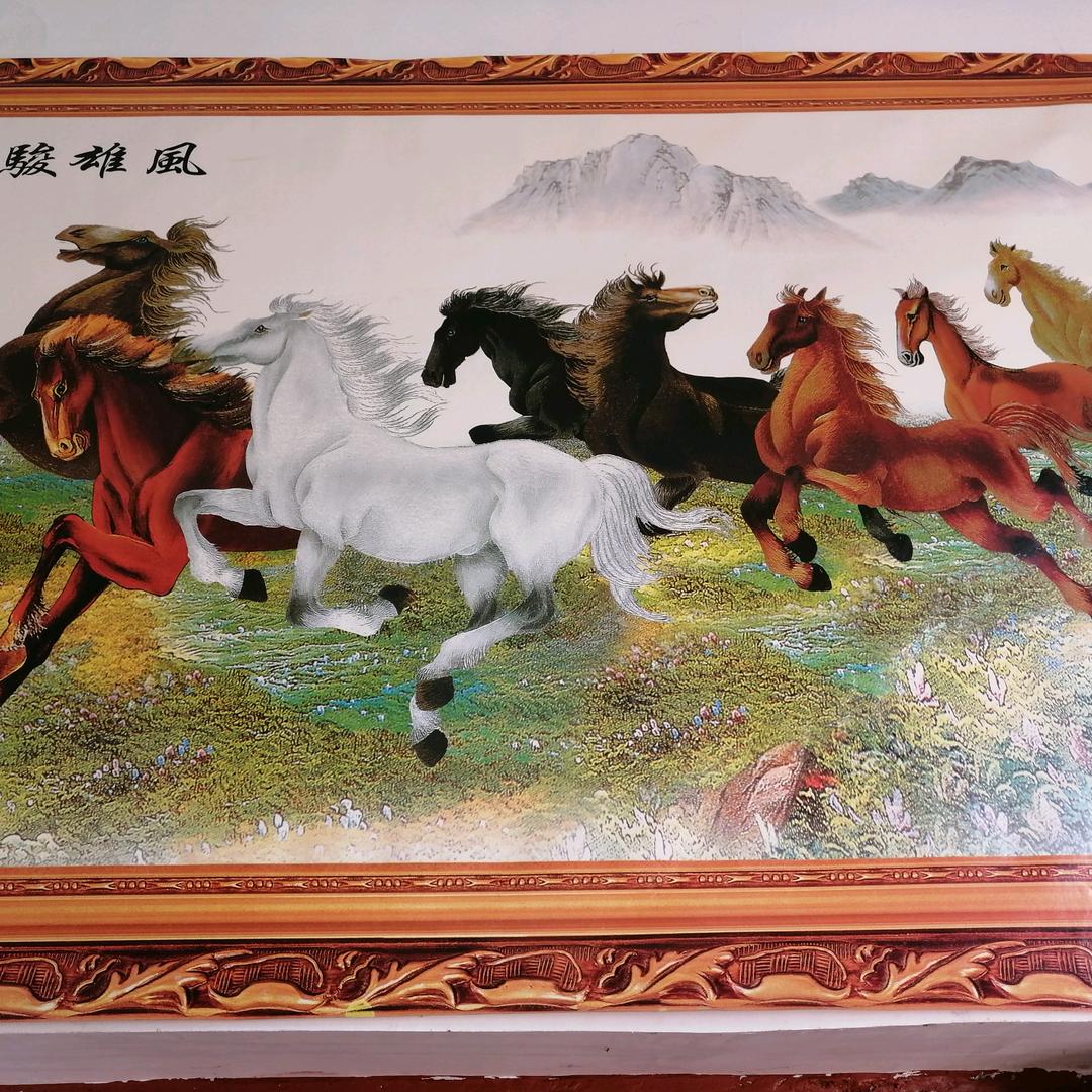 精品干果土特产