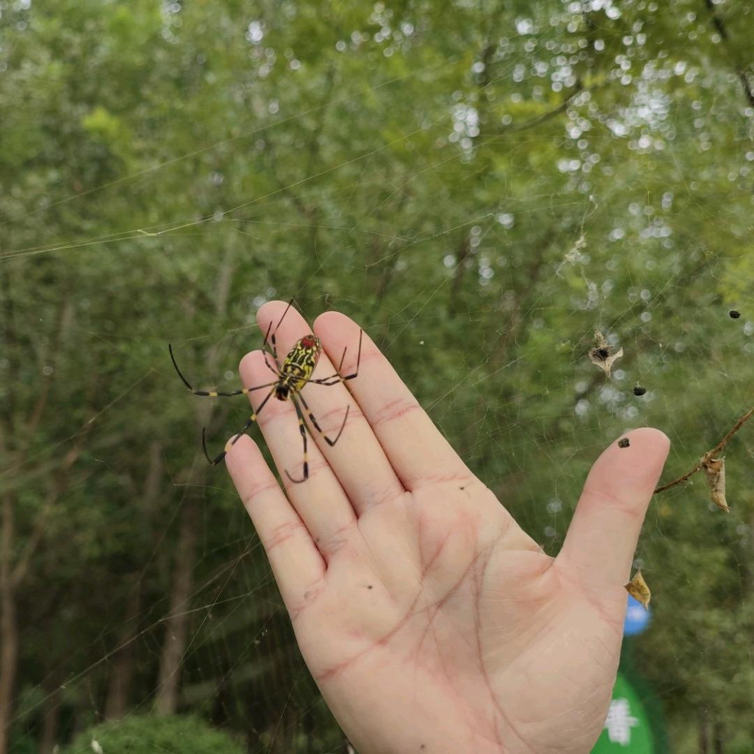 @超能力