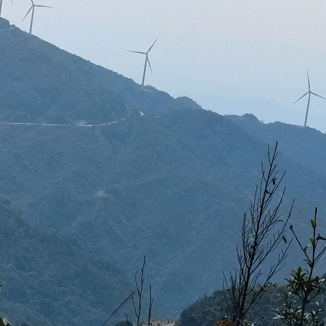 随风而逝