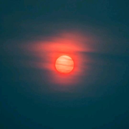 曲白