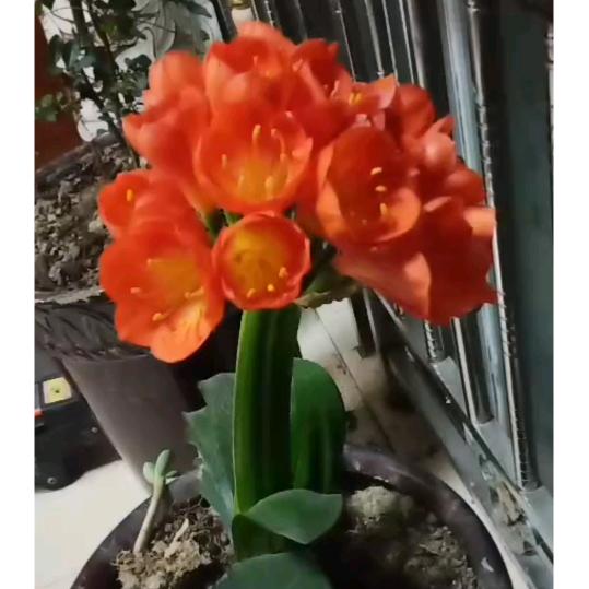 @恭合老北京布鞋专买