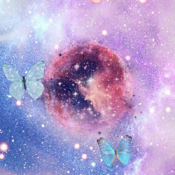 郑姐