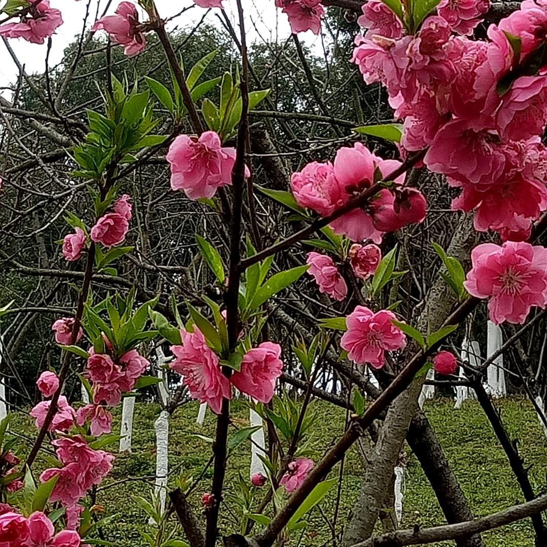 缘份开锁