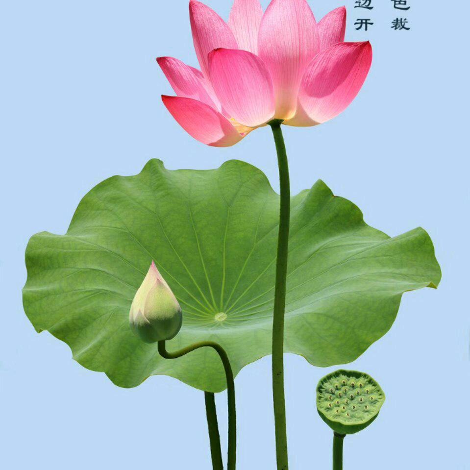 万般皆是缘