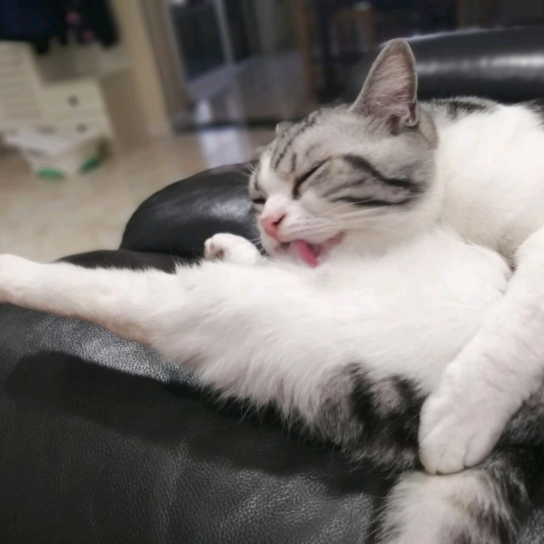 白银飞