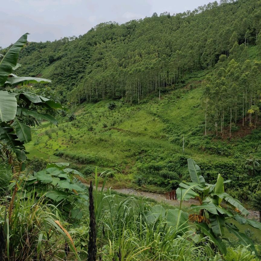 用户阳光