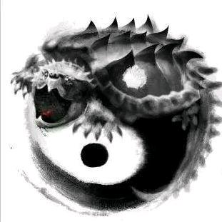 富甲一方精品文玩龟壳