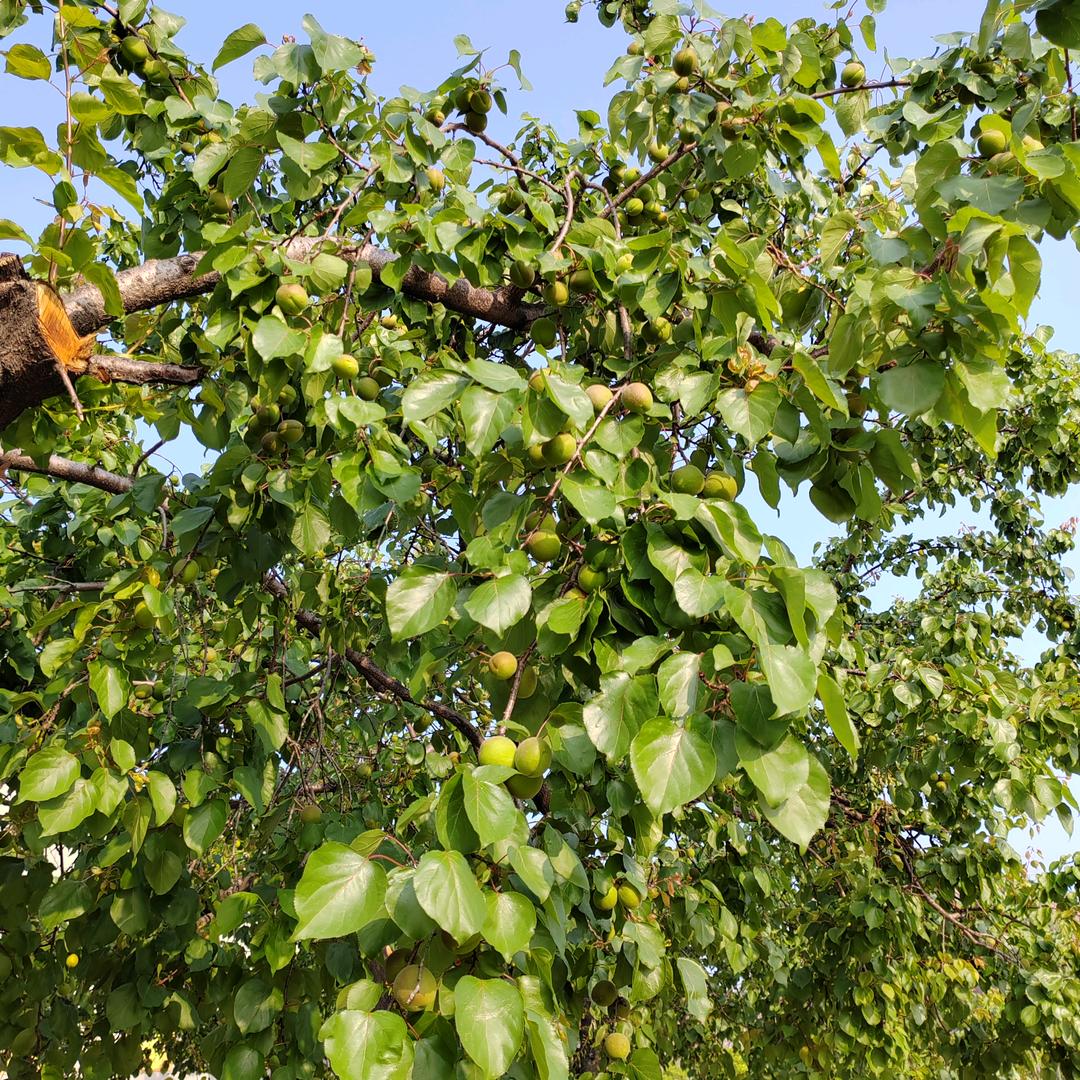 ꧔ꦿ࿐้余你黄不了🦹¹ᶟ₁₄