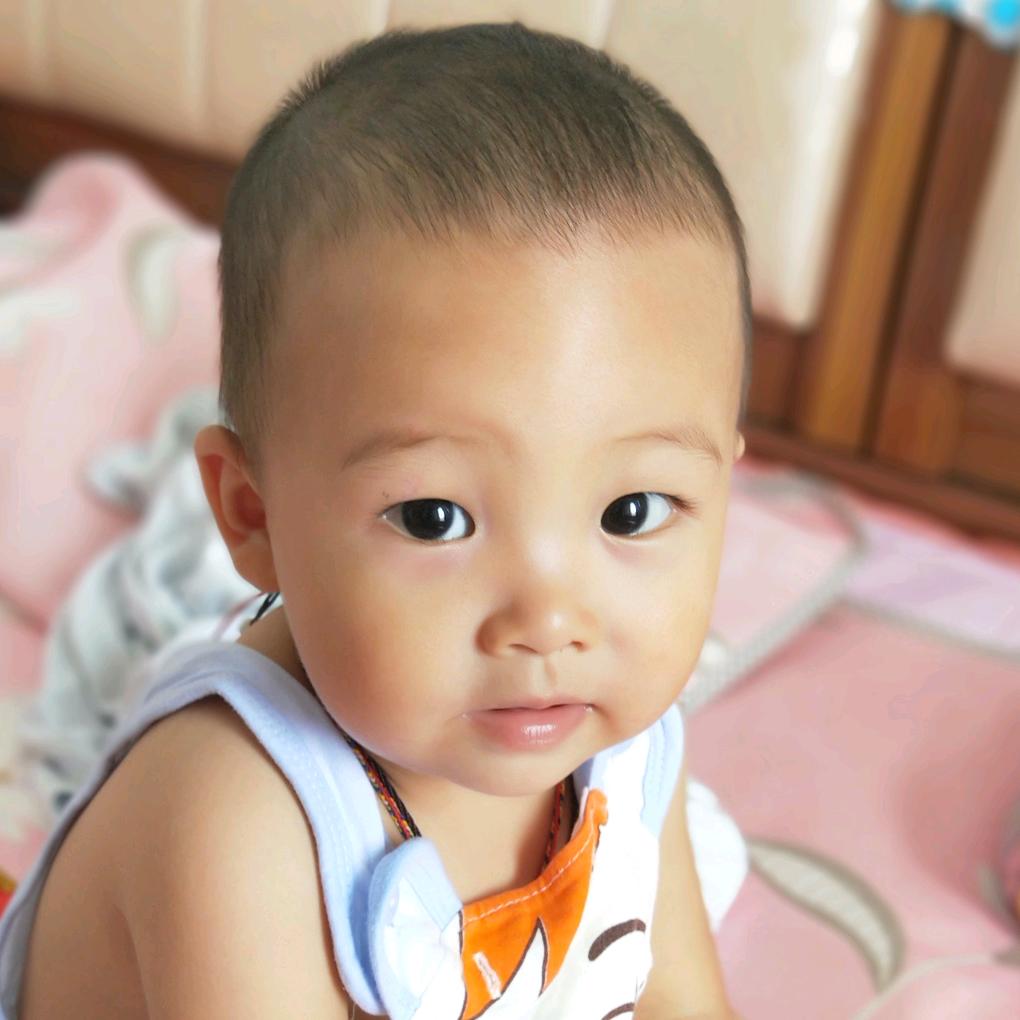 小茄子  •̆ ᵕ •̆