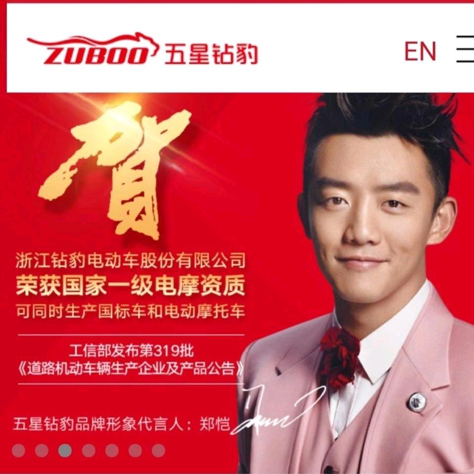 掘地坪五星钻豹