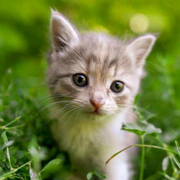 专业雨棚杨师傅