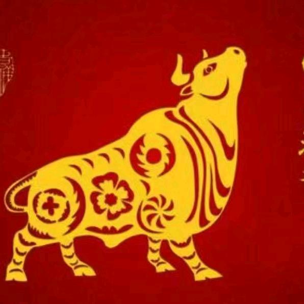 亮点人生