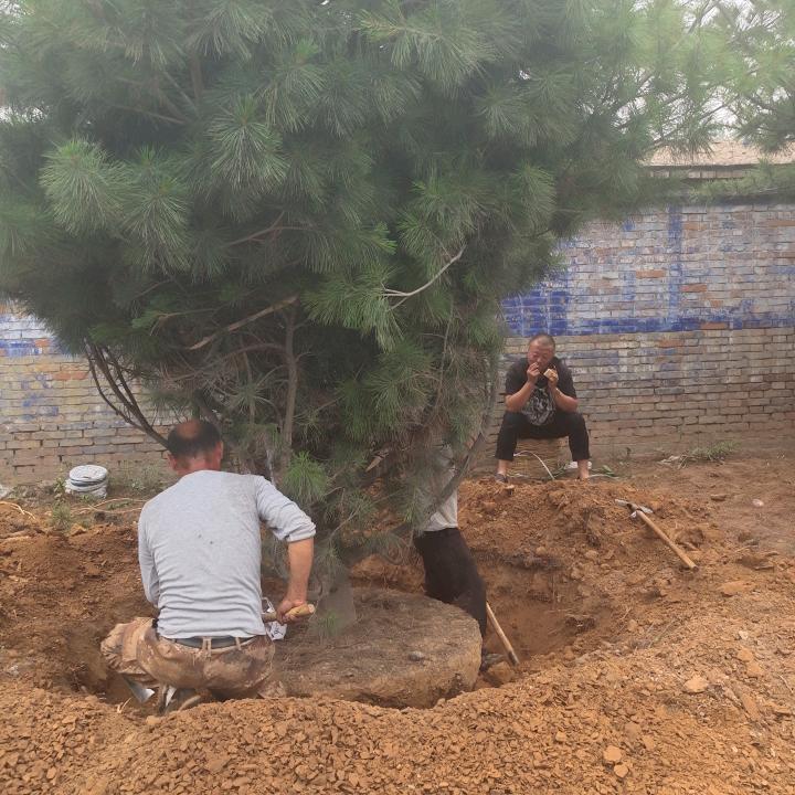 山西园林绿化工程（你的关注）