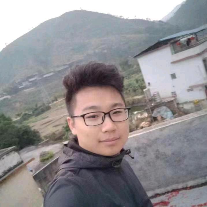 广东祥耀力士德电挖，油挖