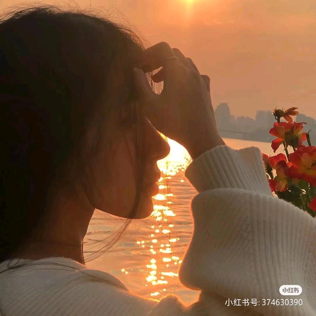 芸芸放映室