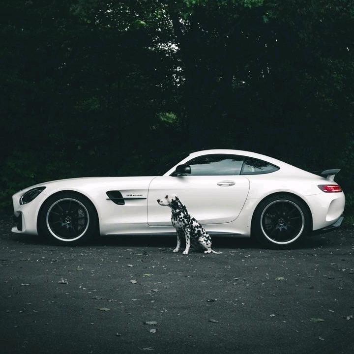 Yyyy