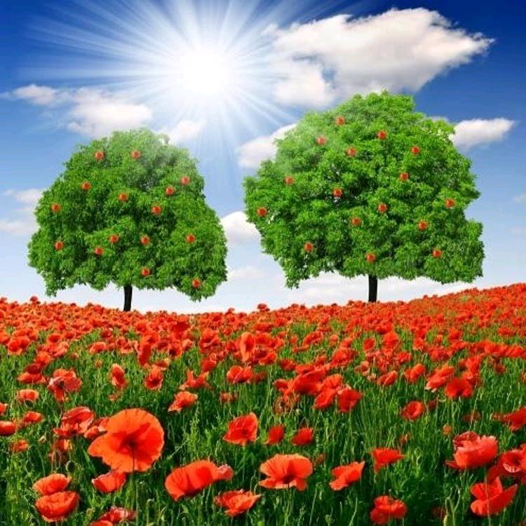 用户好人一生平安