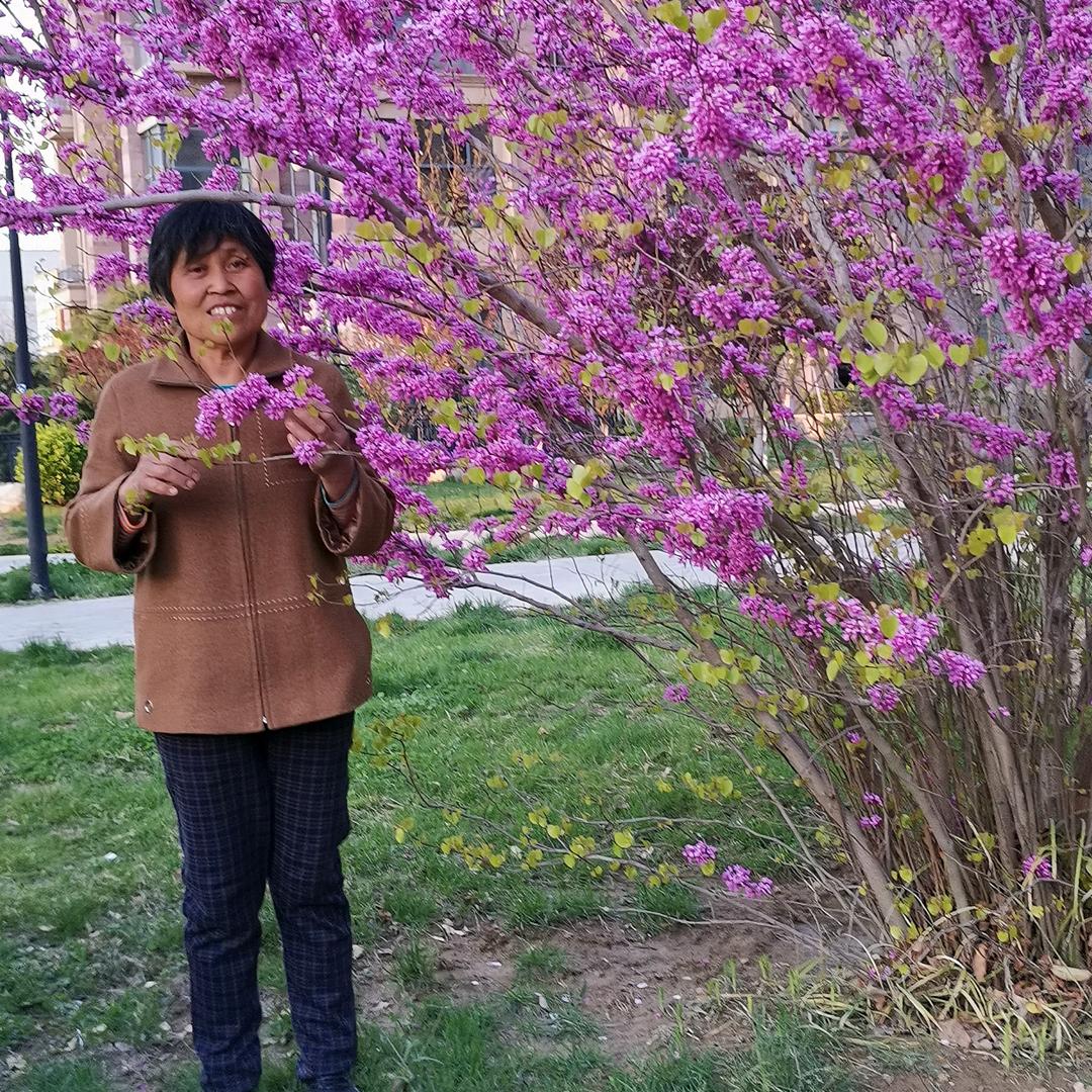 禾苗