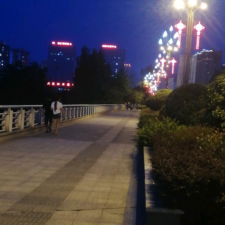 疯子已痴