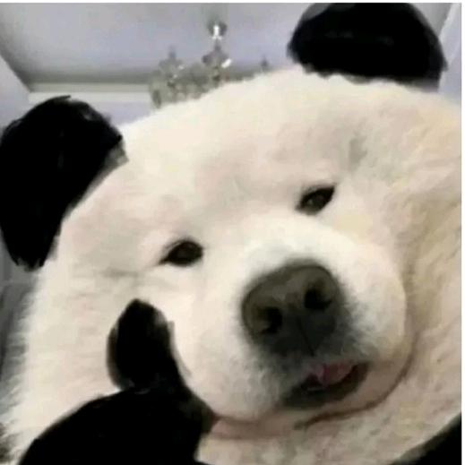 土豆不是马铃薯
