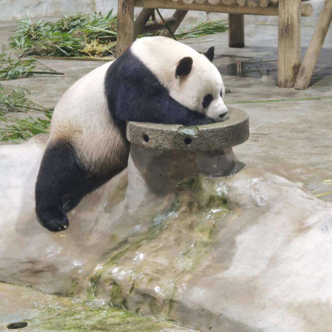 @笑傲江湖