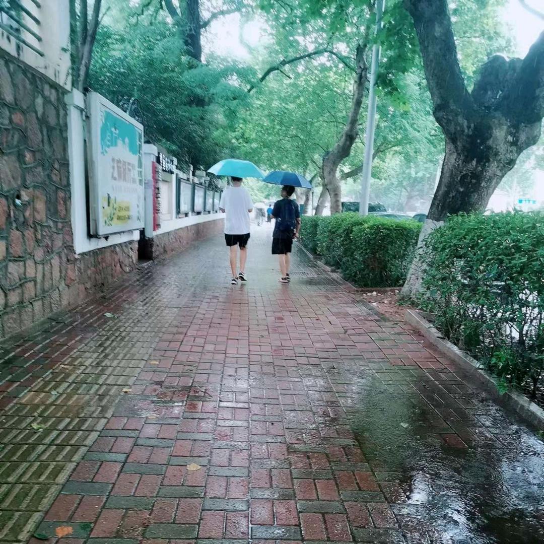 看浪听涛#聊中考