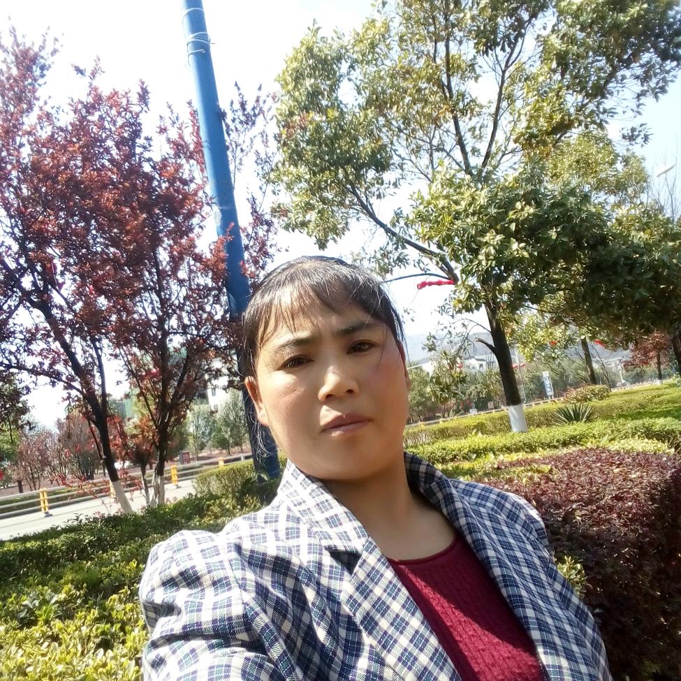 宋家五妹