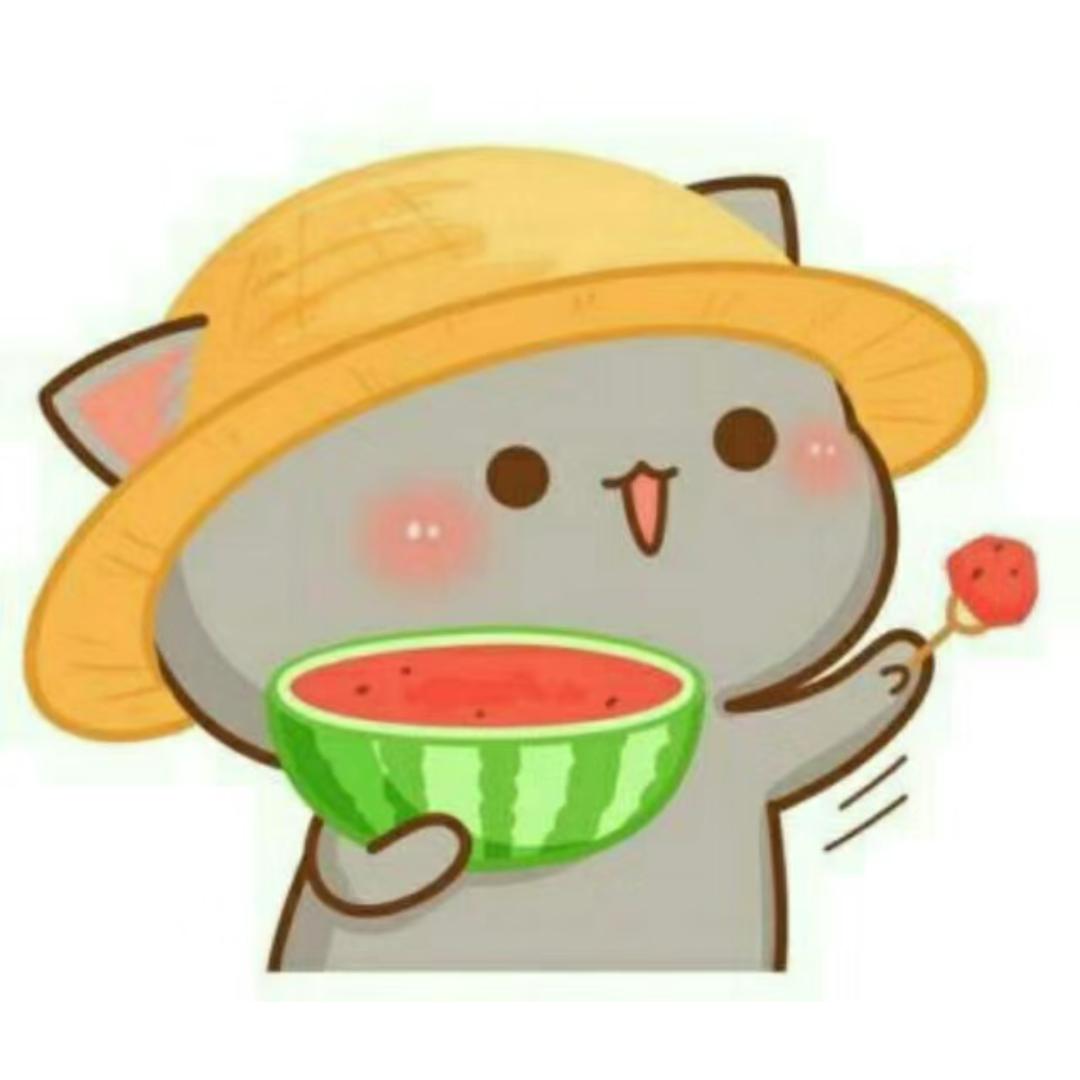 抱着🍉吃夏天