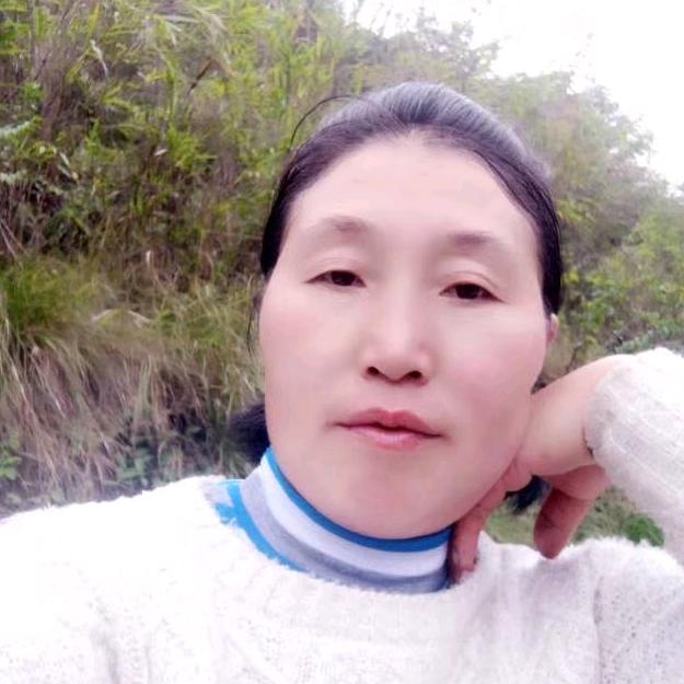爱你无悔