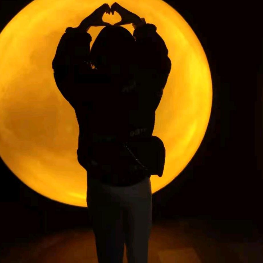 所谓爱情丶不是付出就可以