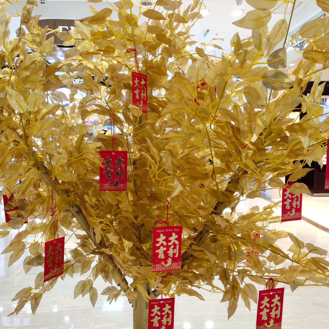 手表顾问馨宇