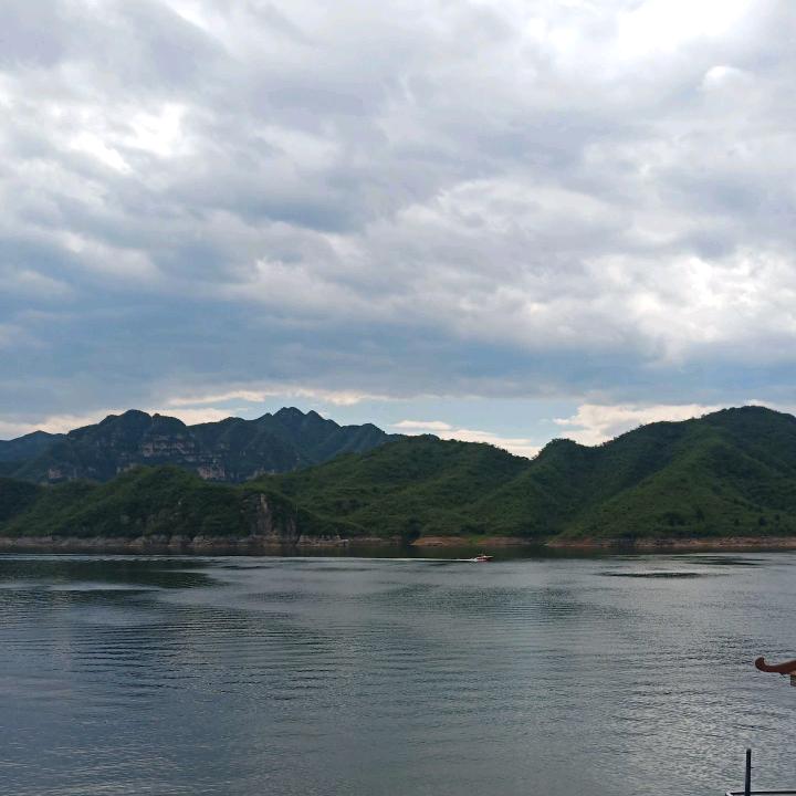 伯金