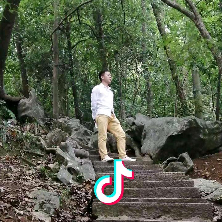 龙吟虎啸