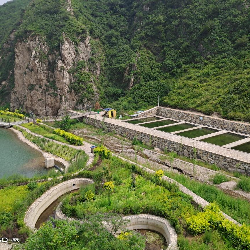 仁义忠勇☜
