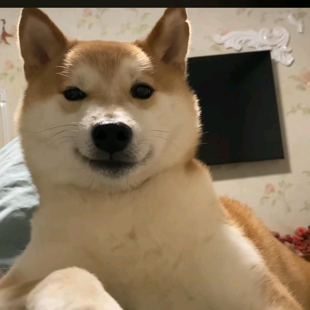游丝