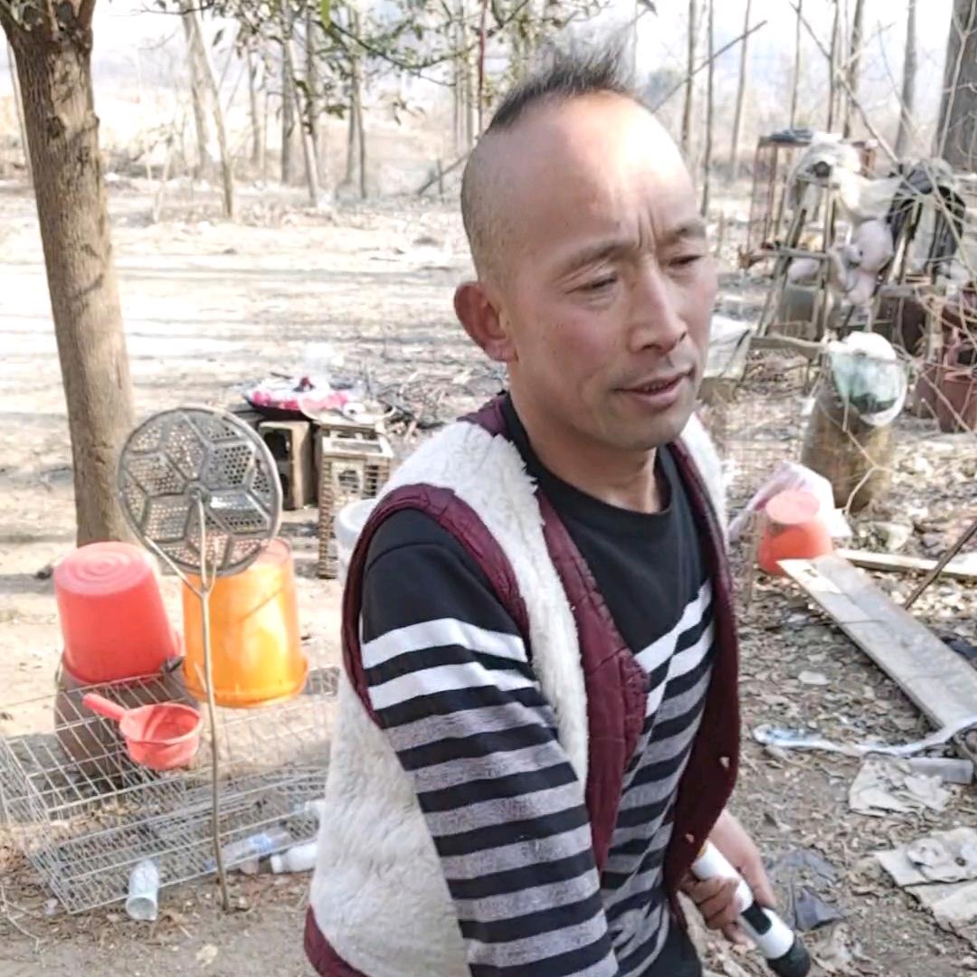 怪才杨飘飘