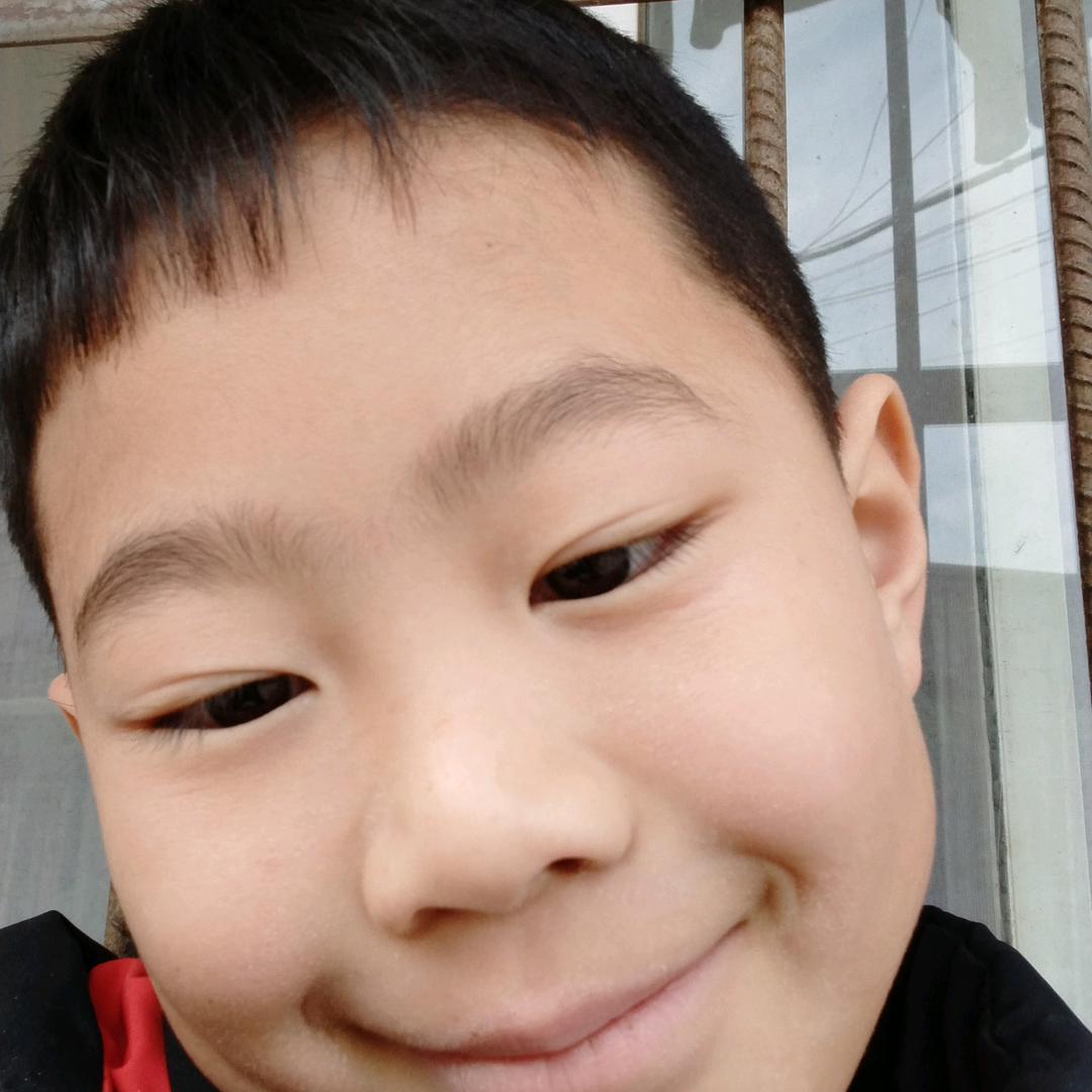 红梅