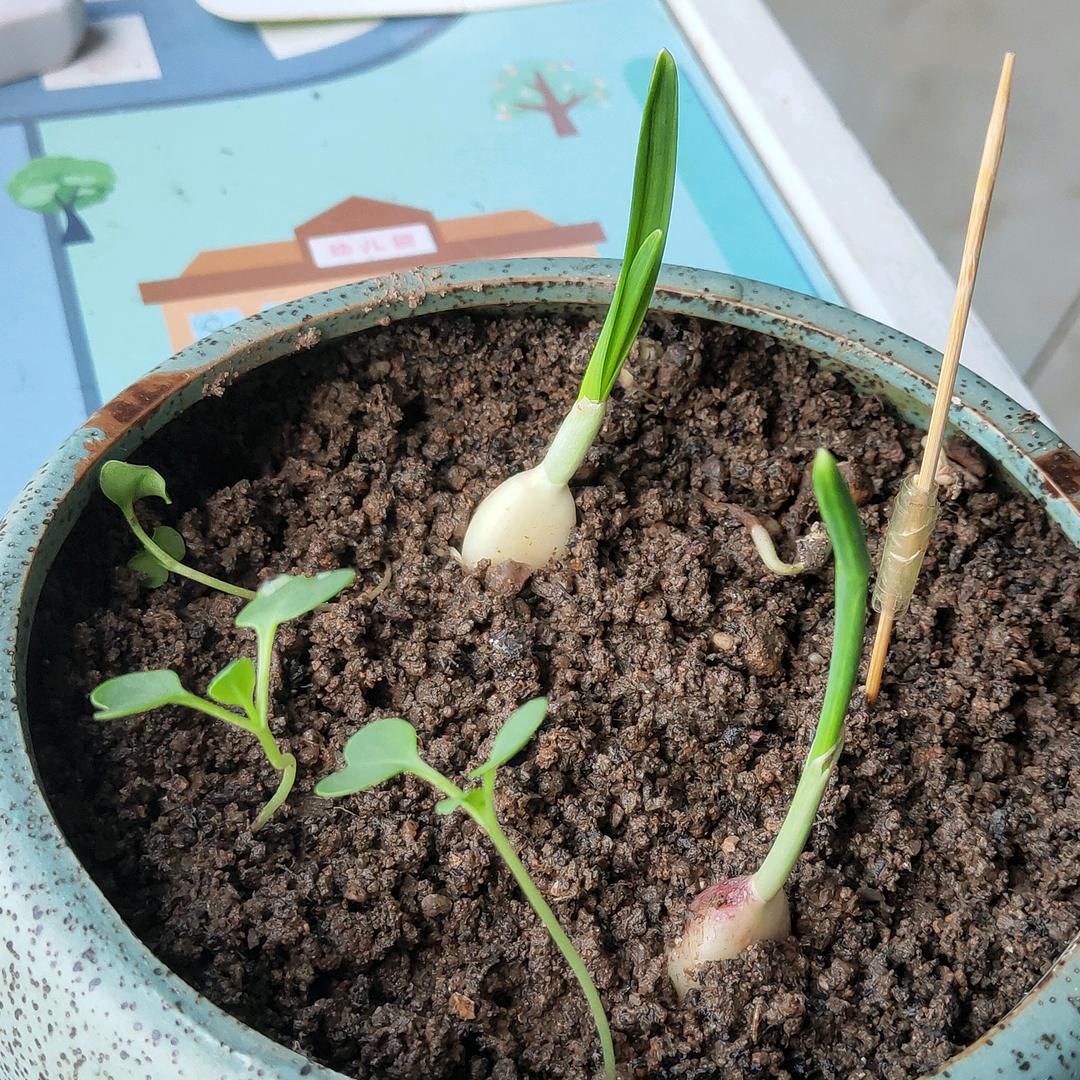 捲捲耳🏆🏆🏆🏆