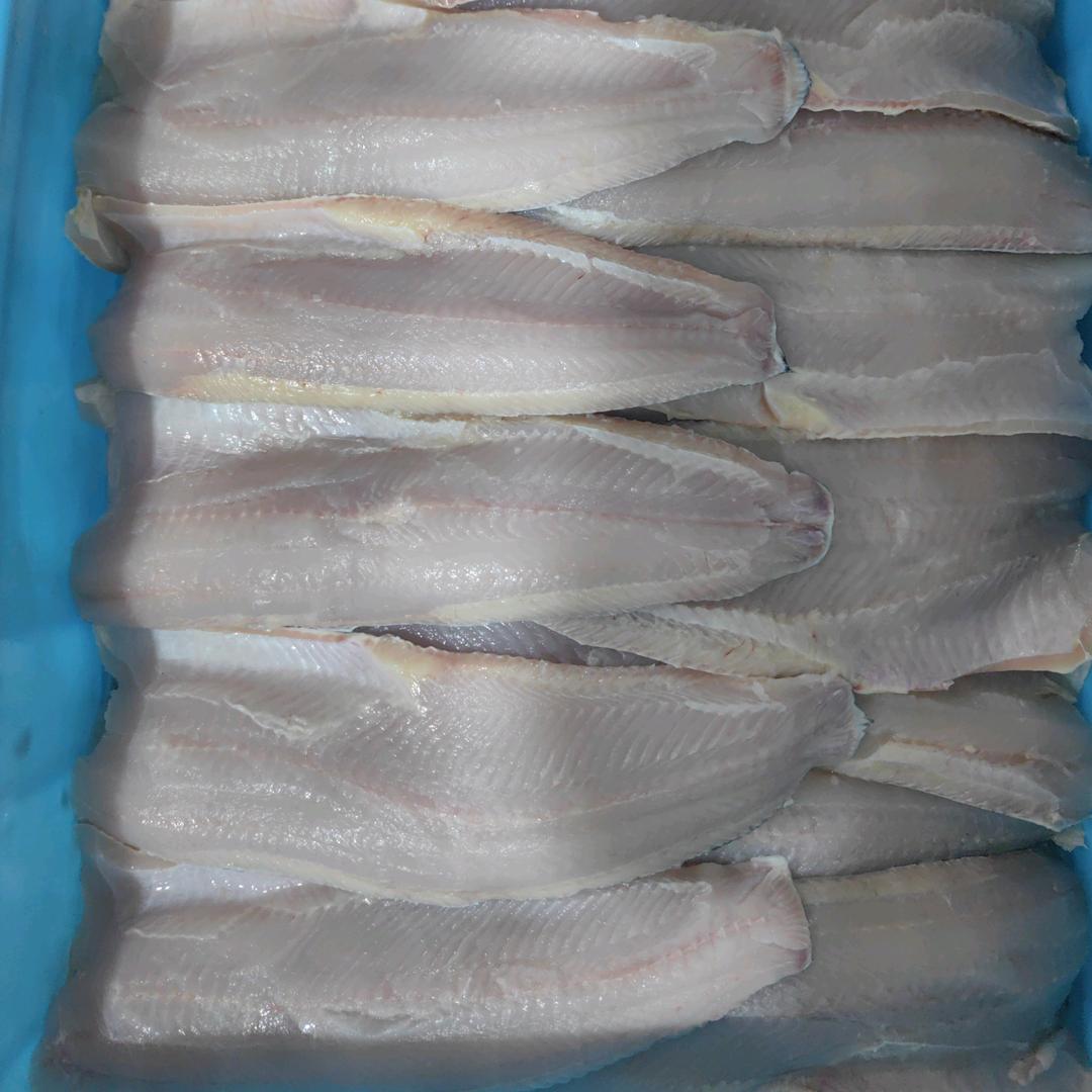 阿杰淡水鱼配送