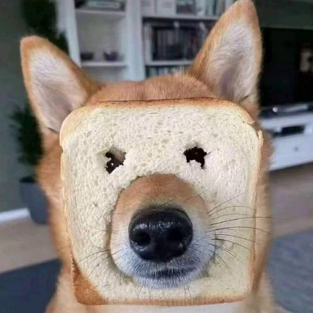 6 2 6