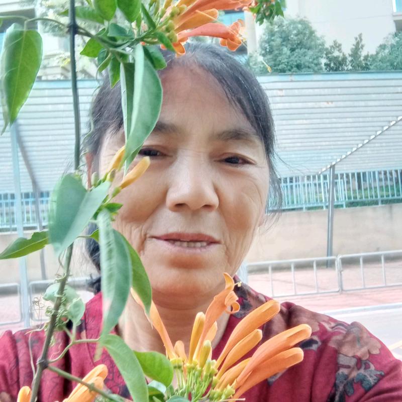 开心云南姐