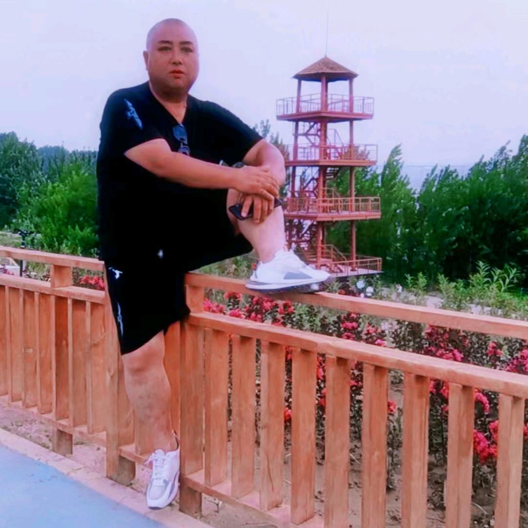 要像梦一样自由