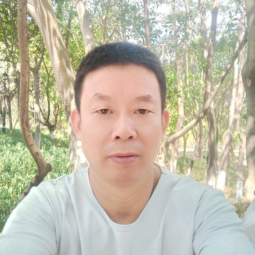 晴朗的阳光