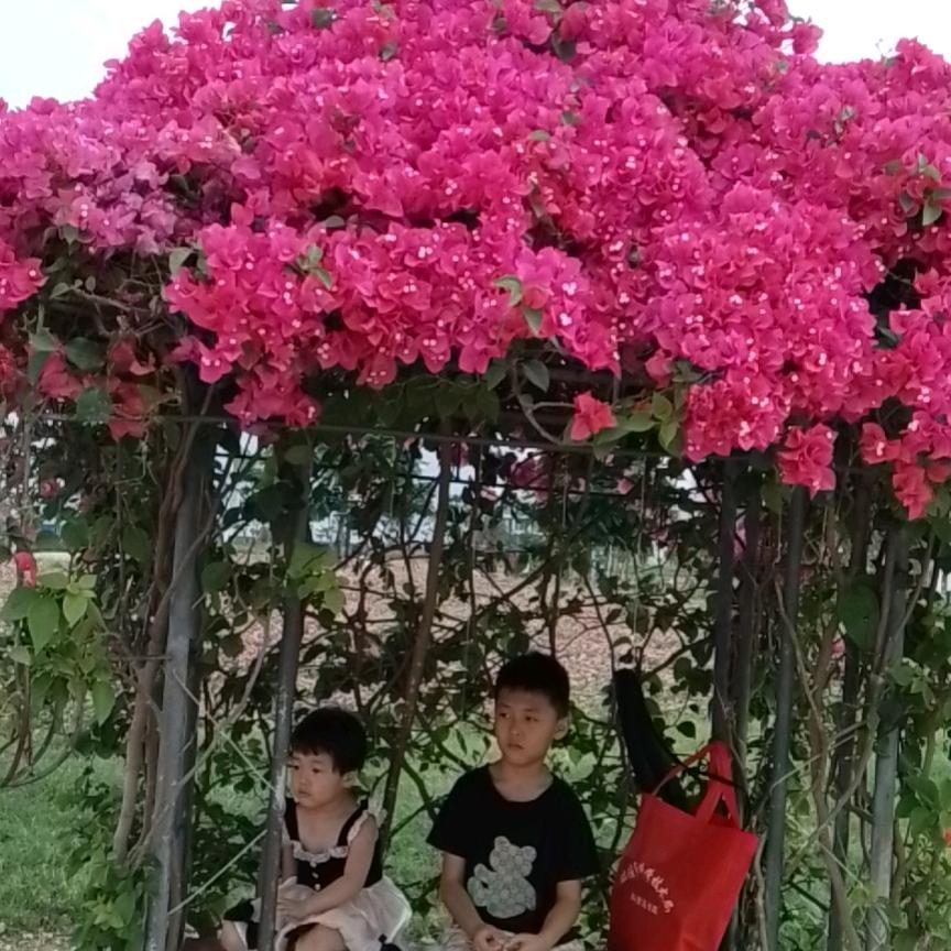 颖你而来