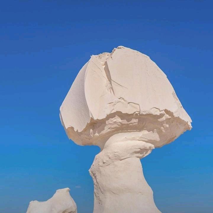 有仇必报